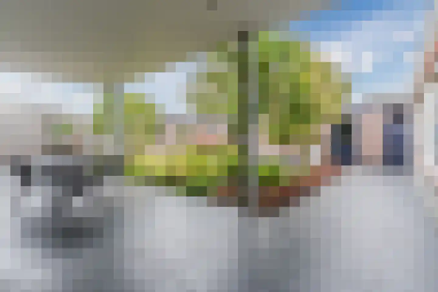 Lambert Melskenslaan 4 Luyksgestel thumbnail 32