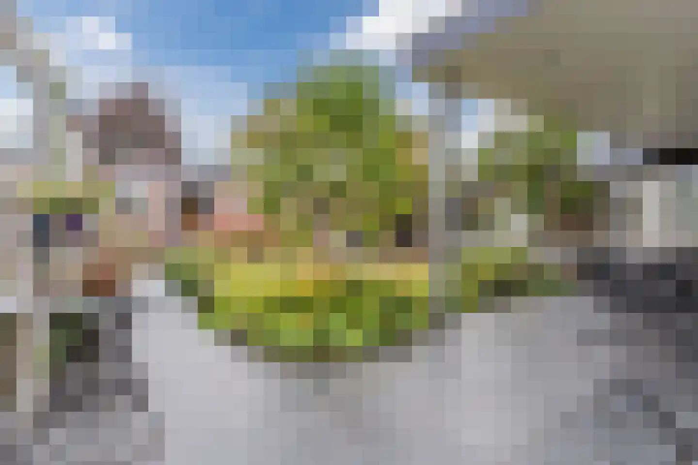 Lambert Melskenslaan 4 Luyksgestel thumbnail 33