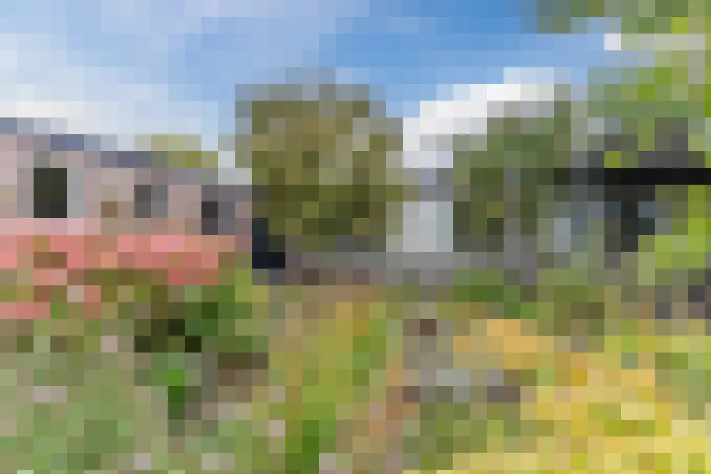 Lambert Melskenslaan 4 Luyksgestel thumbnail 34