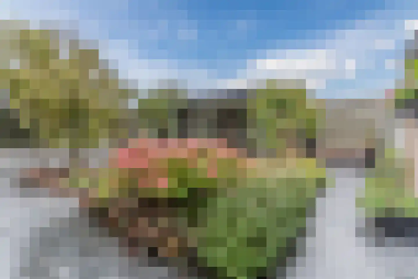 Lambert Melskenslaan 4 Luyksgestel thumbnail 35