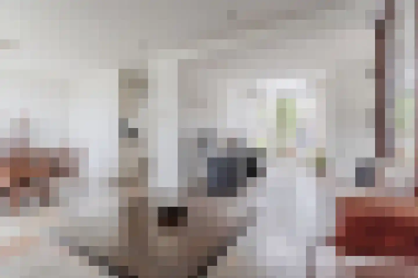 Lambert Melskenslaan 4 Luyksgestel thumbnail 7