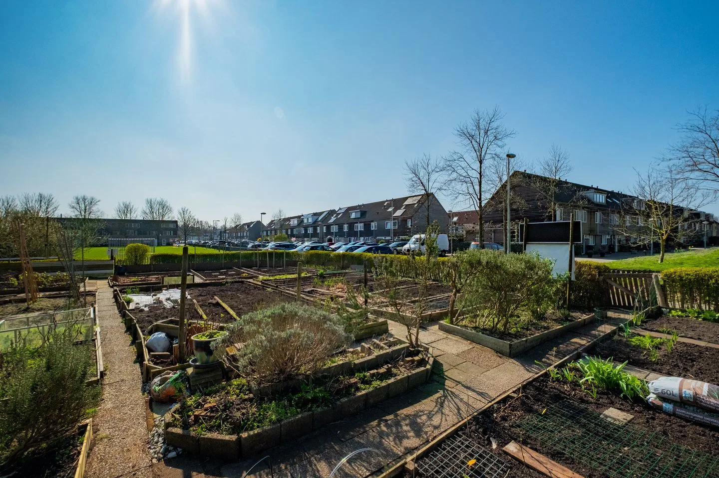 Lambert Rimastraat 58 Amsterdam thumbnail 20