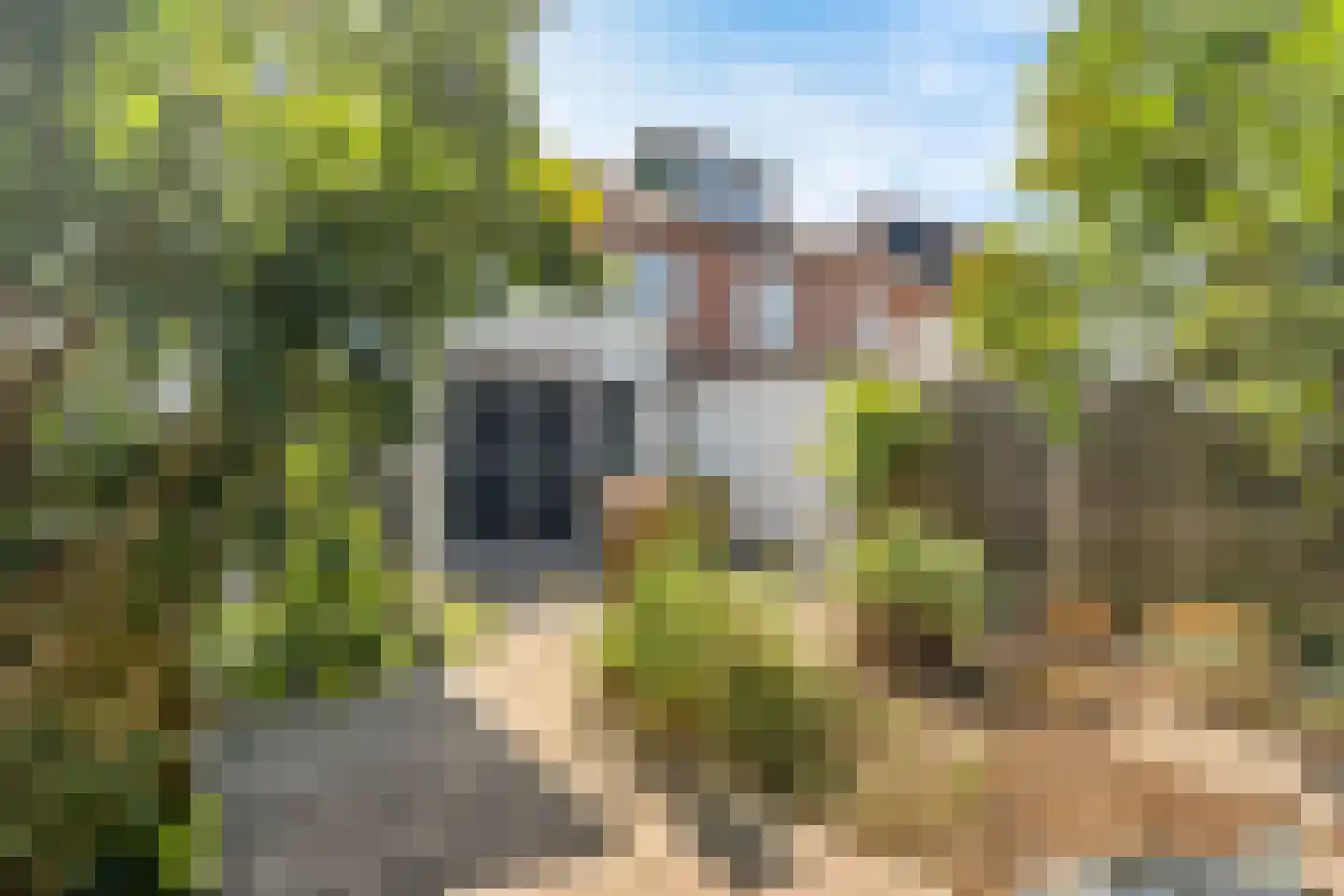 Lambert van Noortstraat 12 Amersfoort thumbnail 37