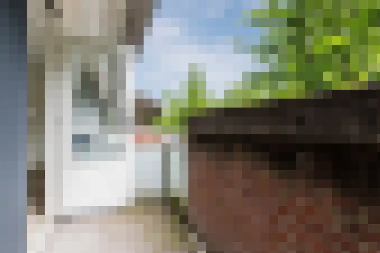Lambertijnenlaan 111 Bergen op Zoom thumbnail 34