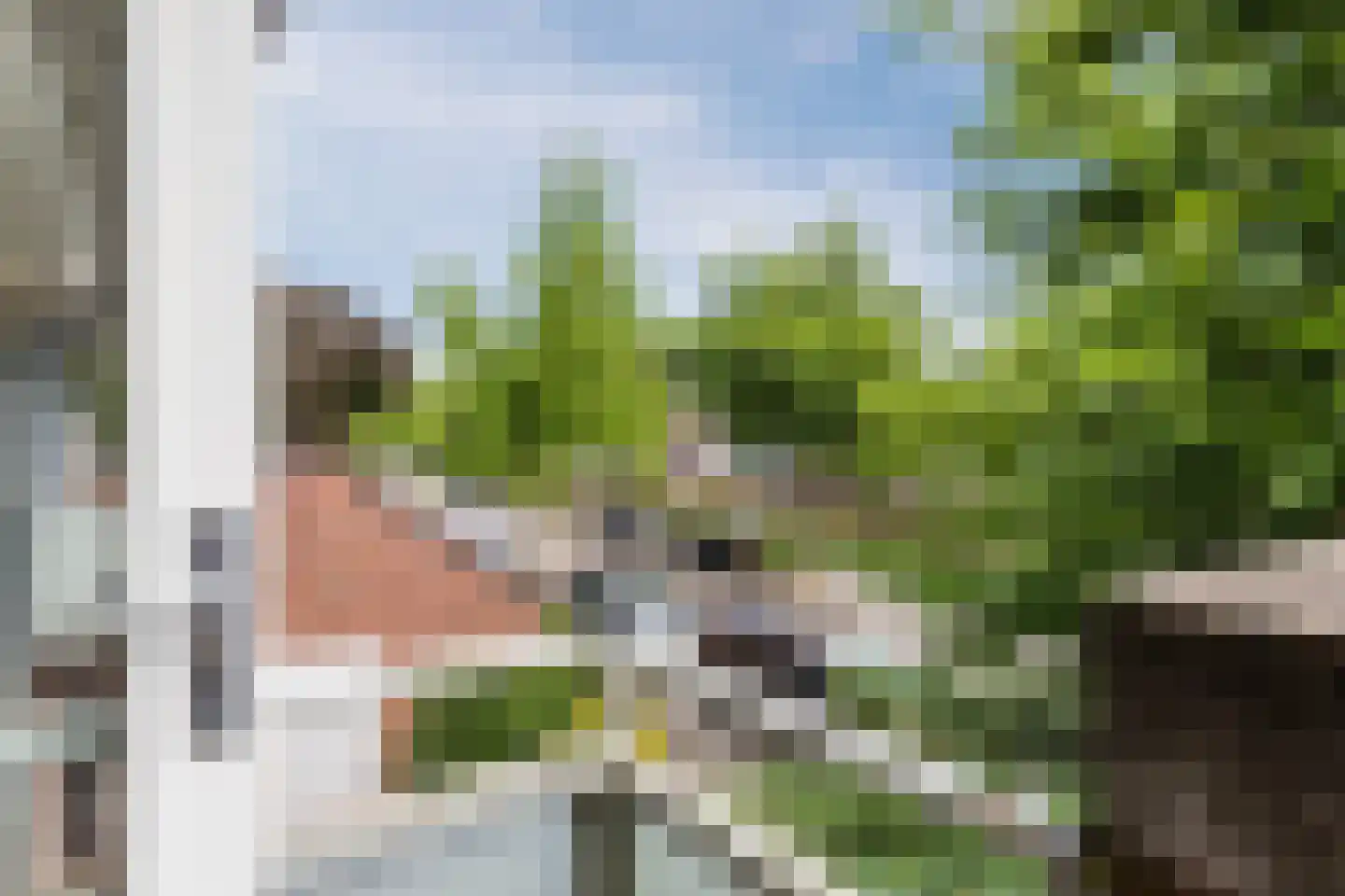Lambertijnenlaan 111 Bergen op Zoom thumbnail 35