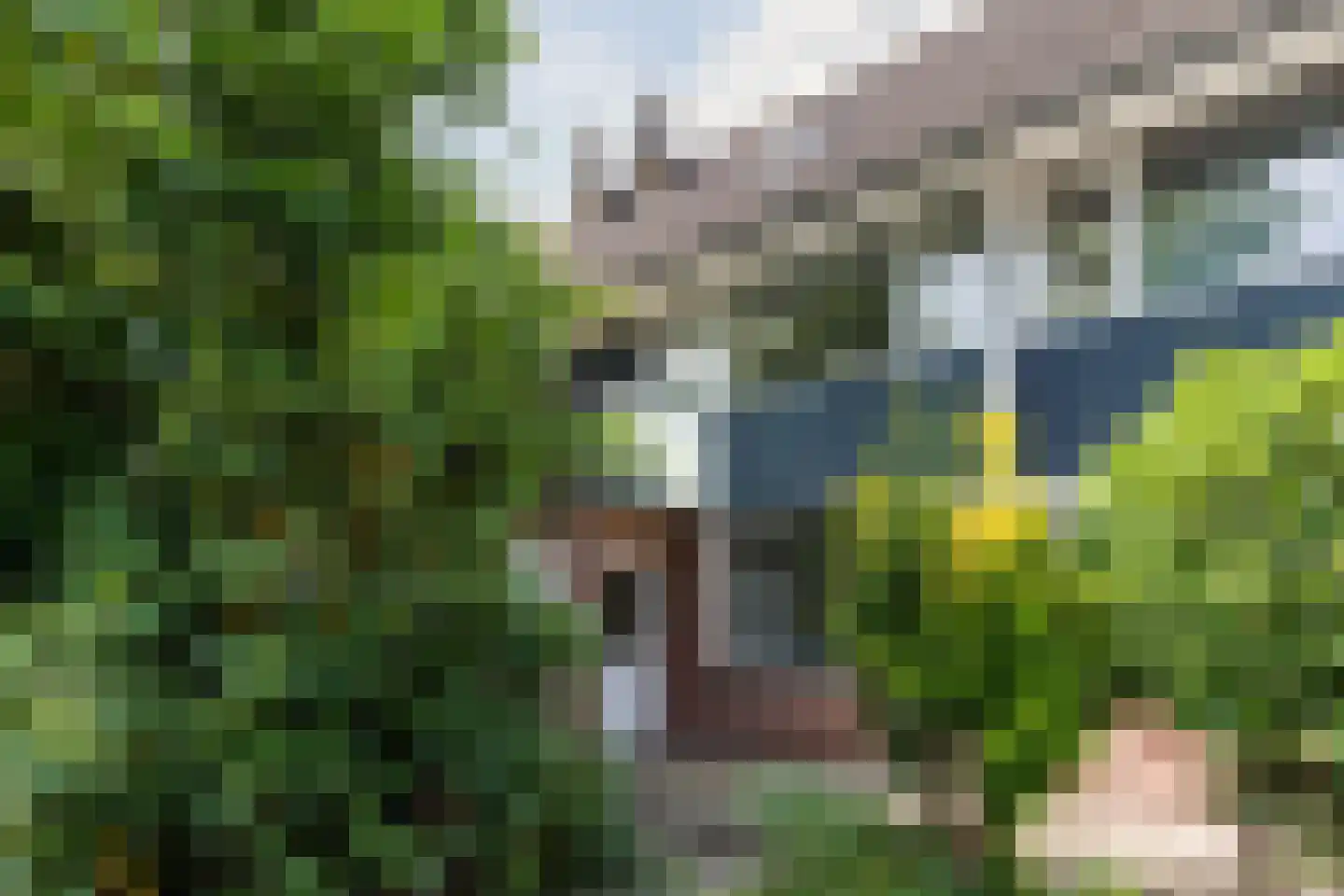 Lambertijnenlaan 111 Bergen op Zoom thumbnail 38