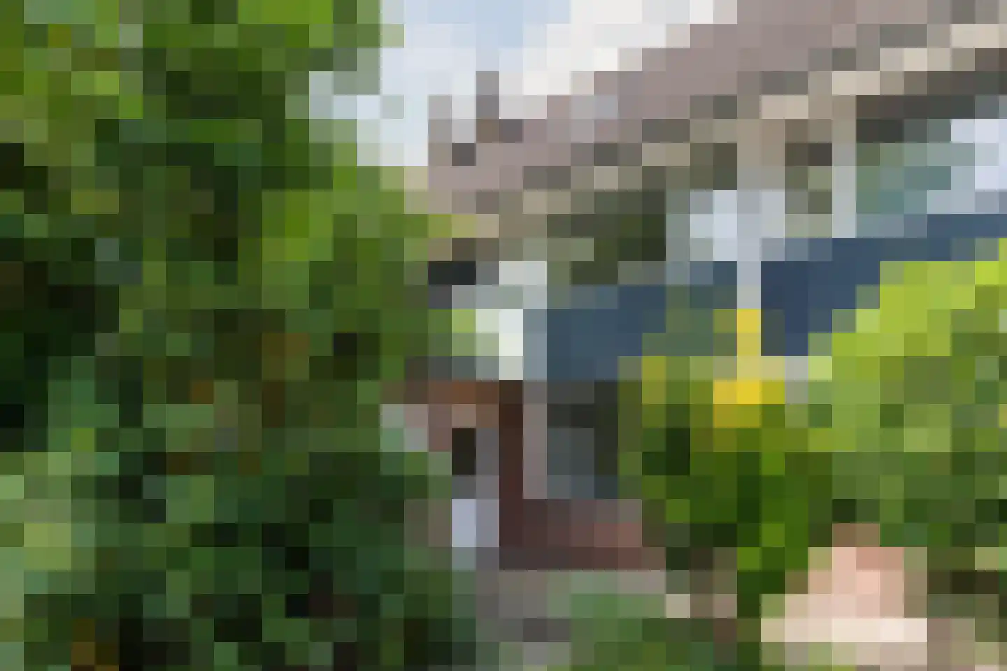 Lambertijnenlaan 111 Bergen op Zoom thumbnail 44