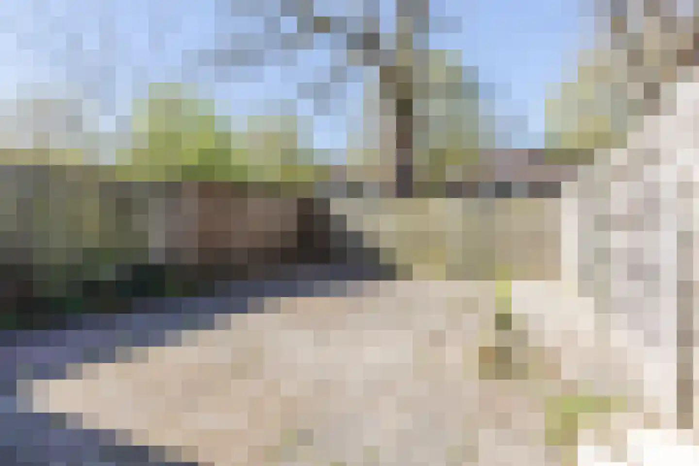 Lambertijnenlaan 113 Bergen op Zoom thumbnail 22