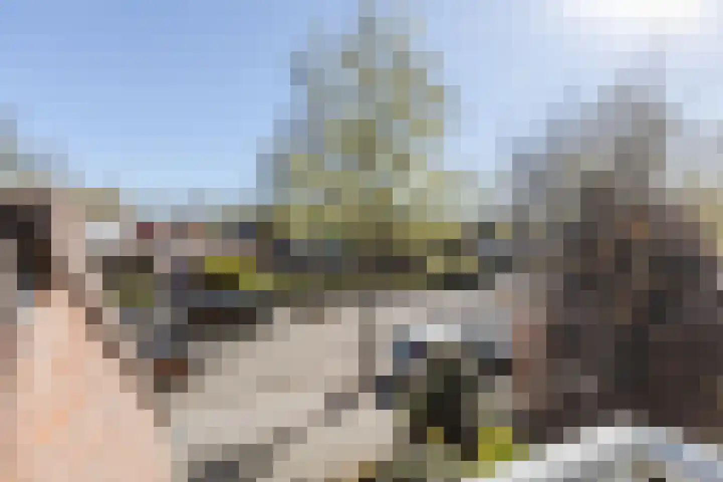 Lambertijnenlaan 113 Bergen op Zoom thumbnail 48