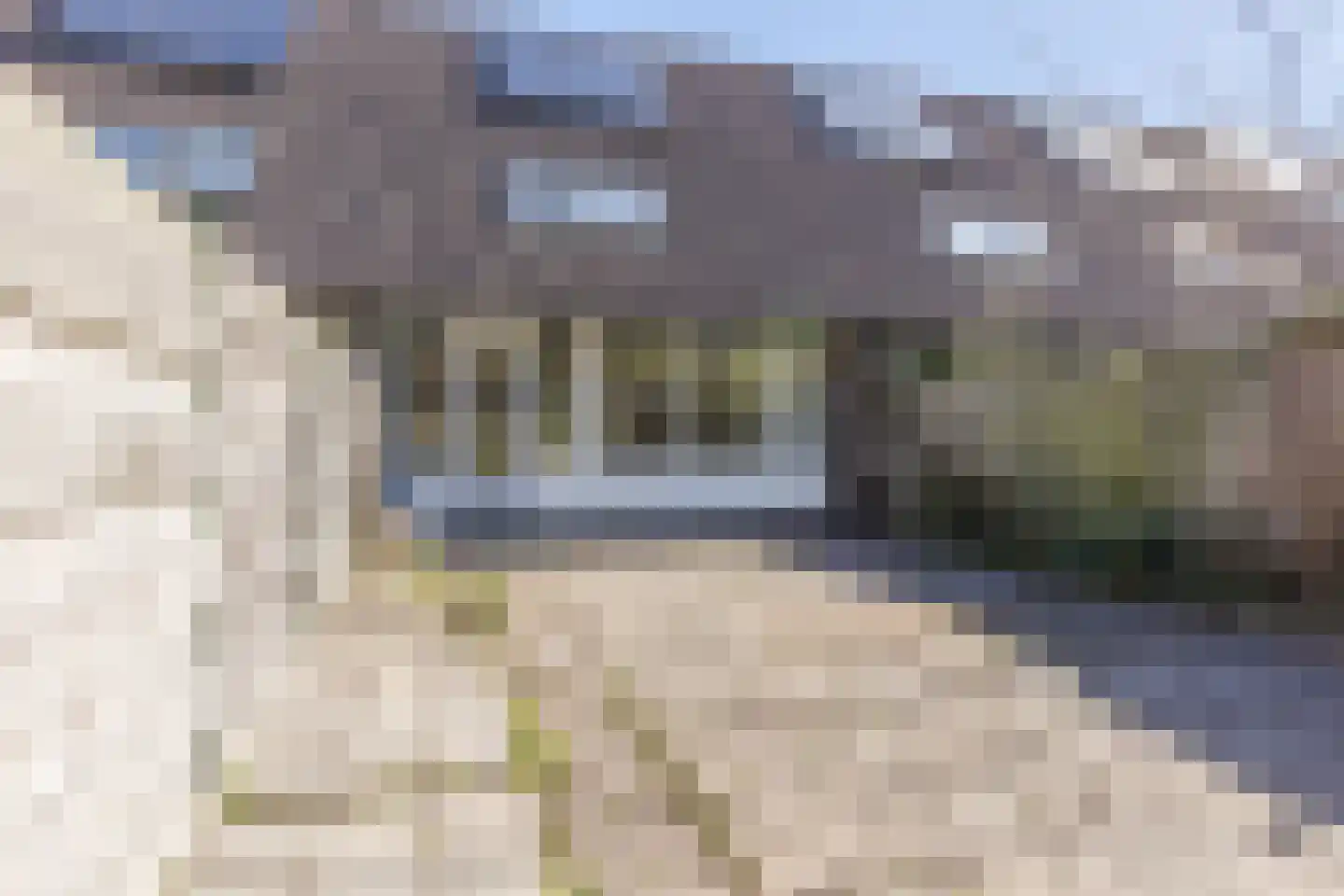 Lambertijnenlaan 113 Bergen op Zoom thumbnail 49