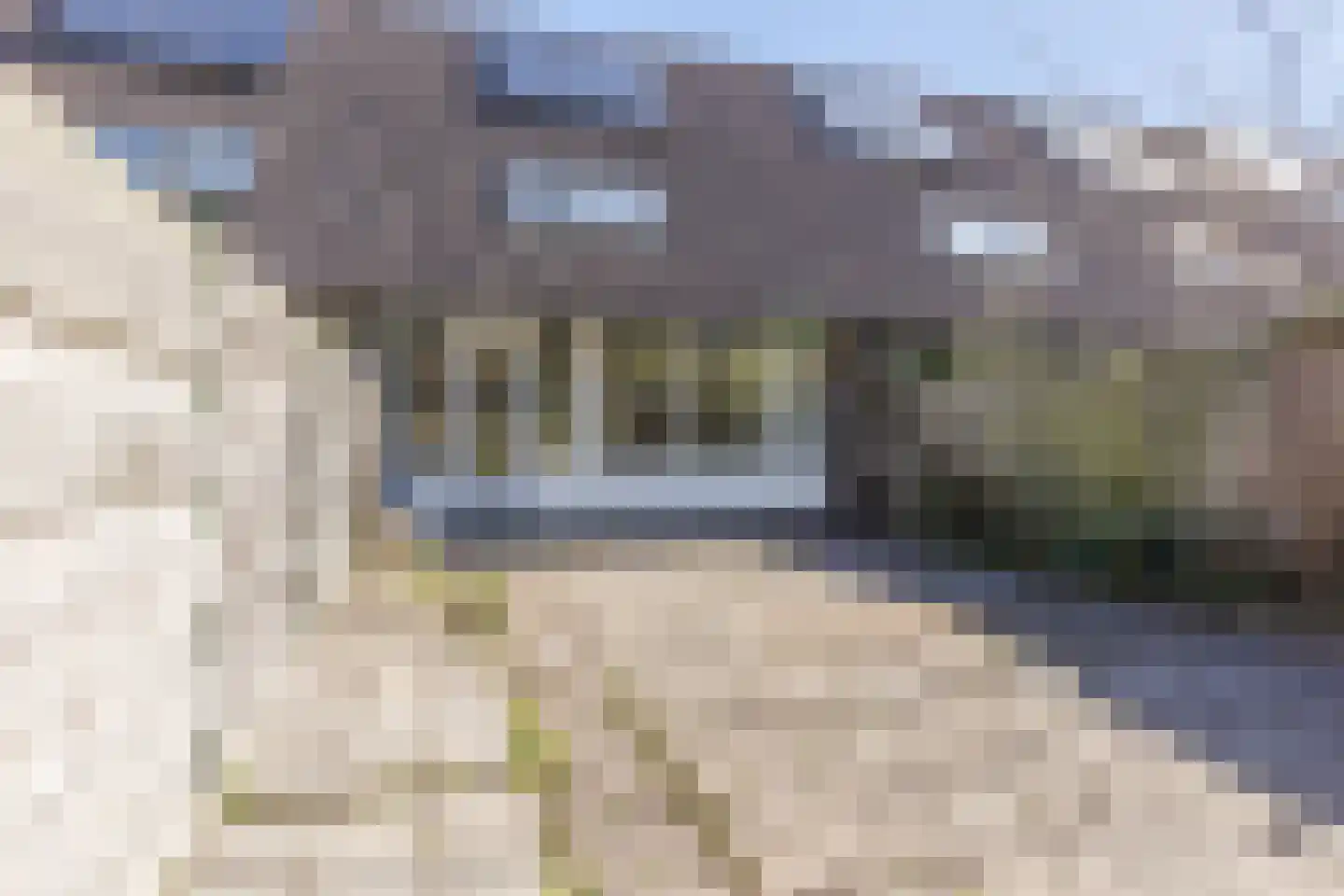 Lambertijnenlaan 113 Bergen op Zoom thumbnail 5