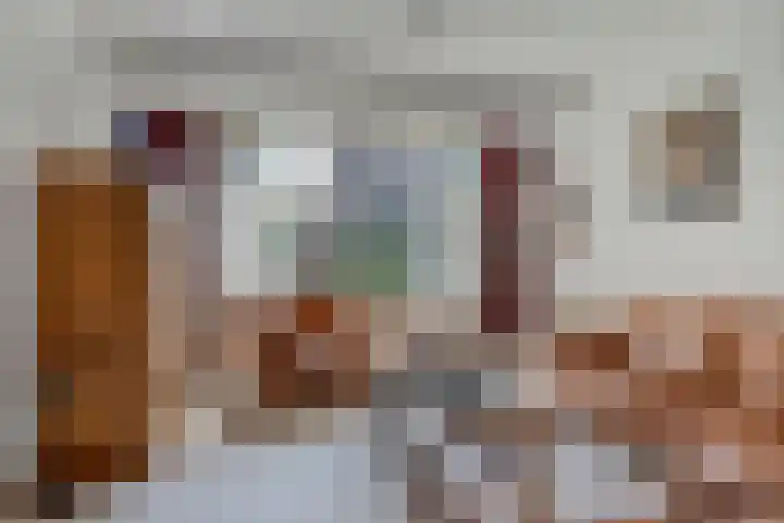 Lambertijnenlaan 31 Bergen op Zoom thumbnail 10
