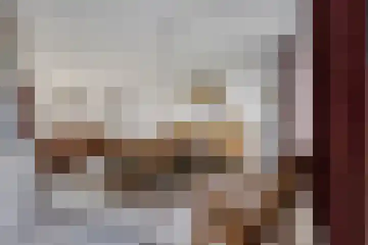 Lambertijnenlaan 31 Bergen op Zoom thumbnail 13