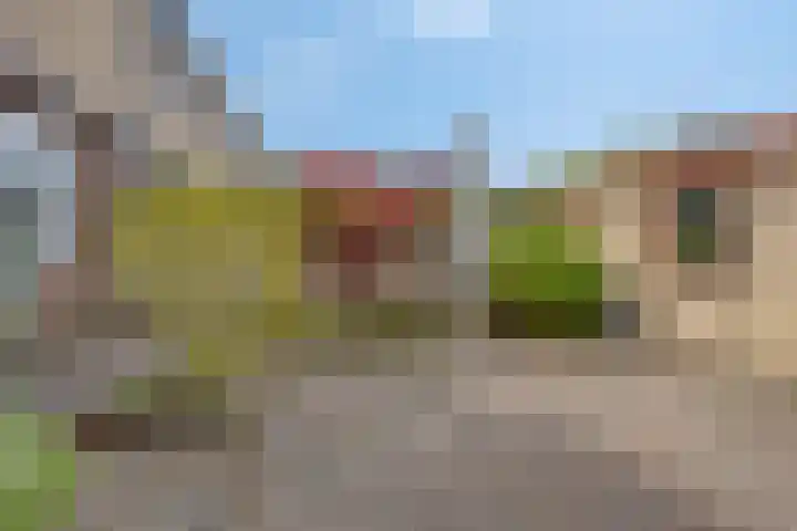 Lambertijnenlaan 31 Bergen op Zoom thumbnail 30