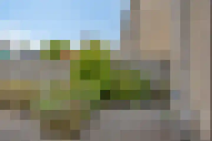 Lambertijnenlaan 31 Bergen op Zoom thumbnail 32
