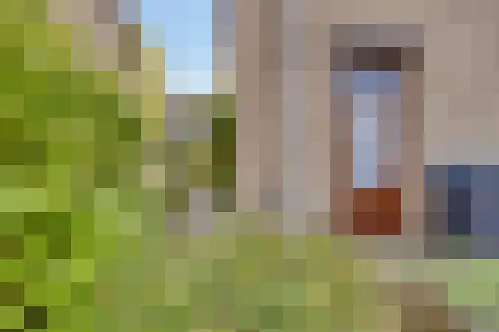 Lambertijnenlaan 31 Bergen op Zoom thumbnail 33