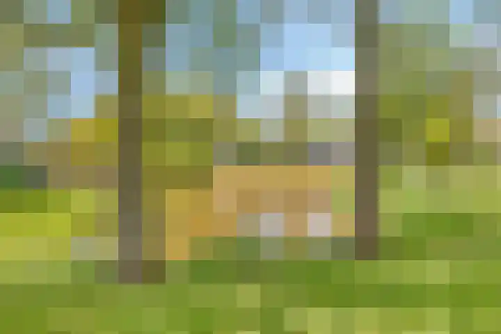 Lambertijnenlaan 31 Bergen op Zoom thumbnail 36