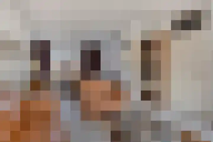 Lambertijnenlaan 31 Bergen op Zoom thumbnail 4