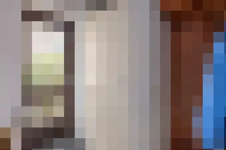Lambertijnenlaan 31 Bergen op Zoom thumbnail 9