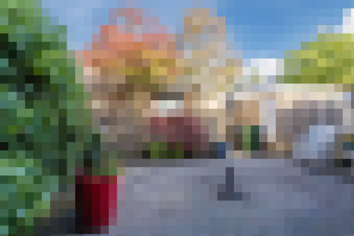 Lambertijnenlaan 35 Bergen op Zoom thumbnail 38