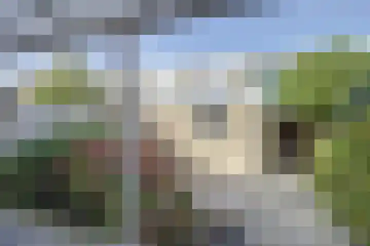 Lambertijnenlaan 37 Bergen op Zoom thumbnail 27