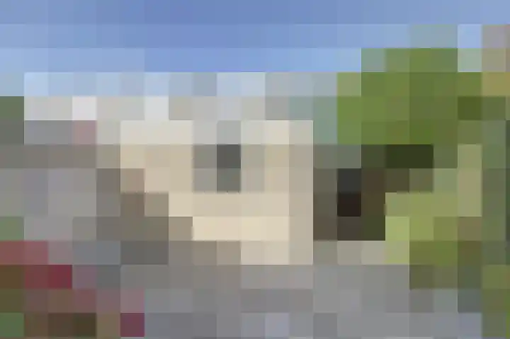 Lambertijnenlaan 37 Bergen op Zoom thumbnail 29