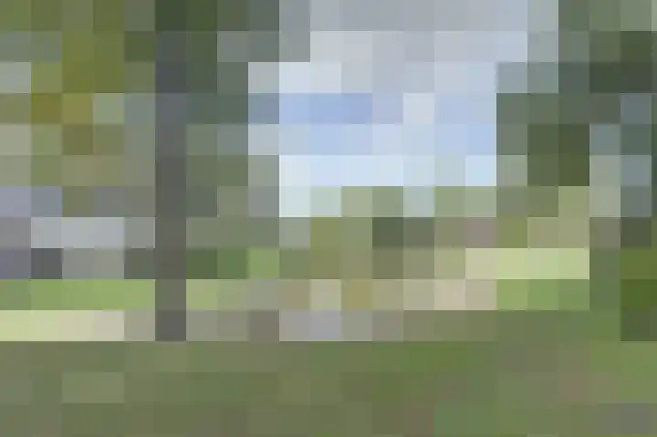 Lambertijnenlaan 37 Bergen op Zoom thumbnail 31