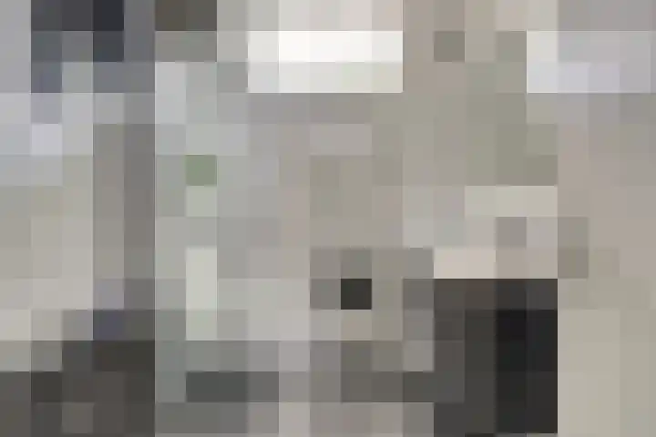 Lambertijnenlaan 37 Bergen op Zoom thumbnail 4