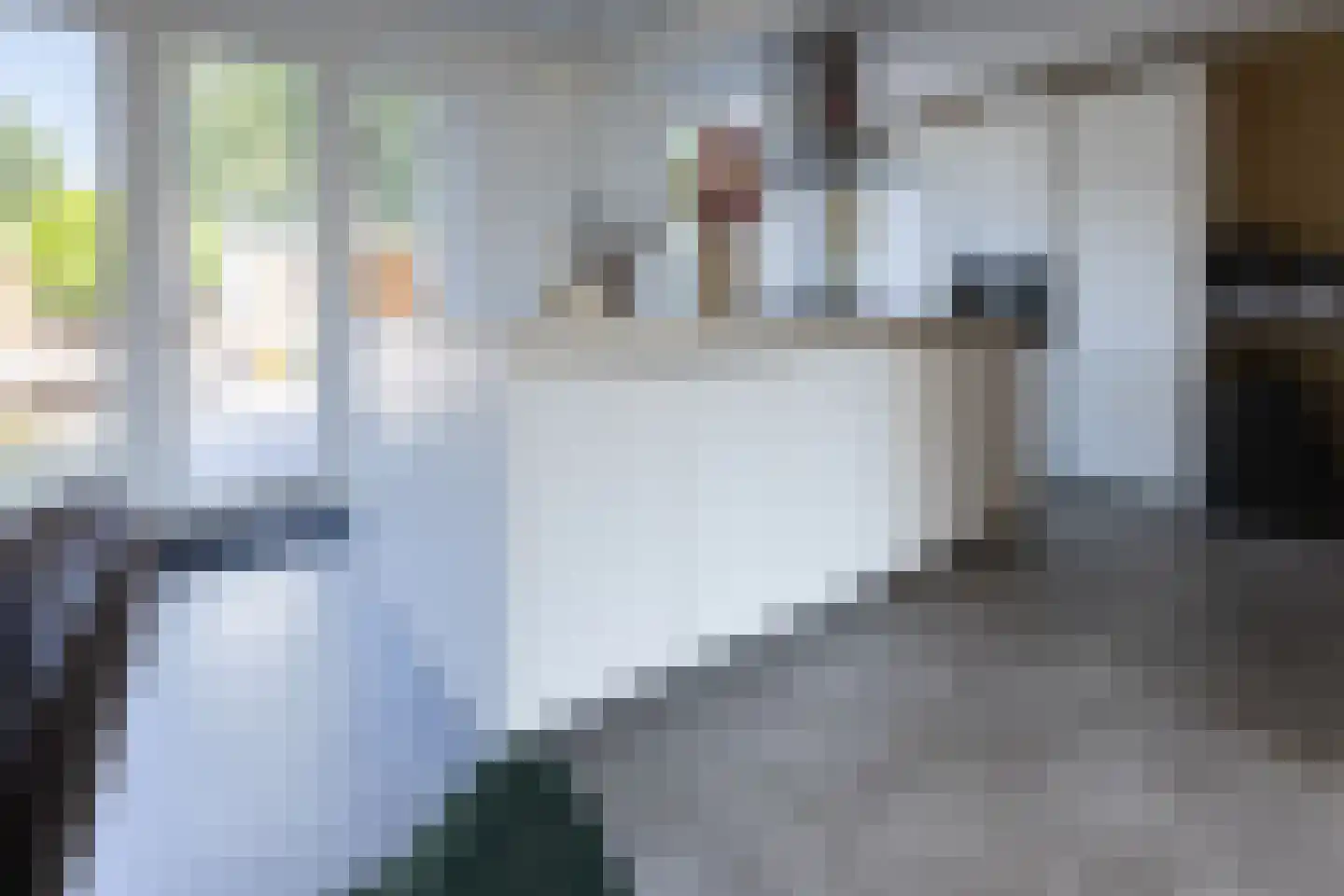 Lambertijnenlaan 49 Bergen op Zoom thumbnail 10