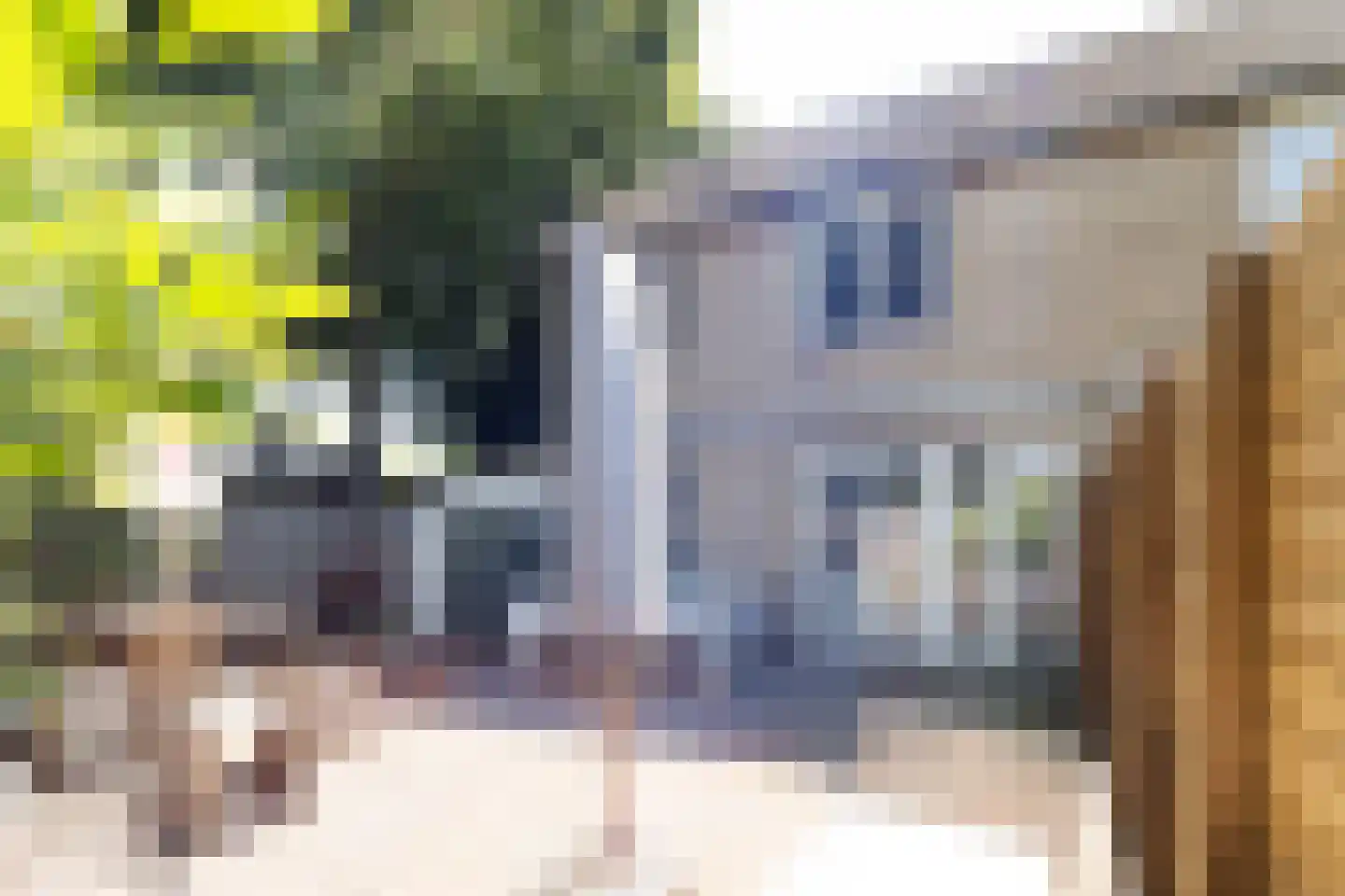 Lambertijnenlaan 49 Bergen op Zoom thumbnail 15