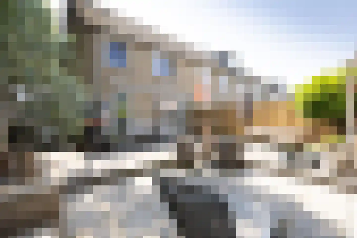 Lambertijnenlaan 49 Bergen op Zoom thumbnail 16