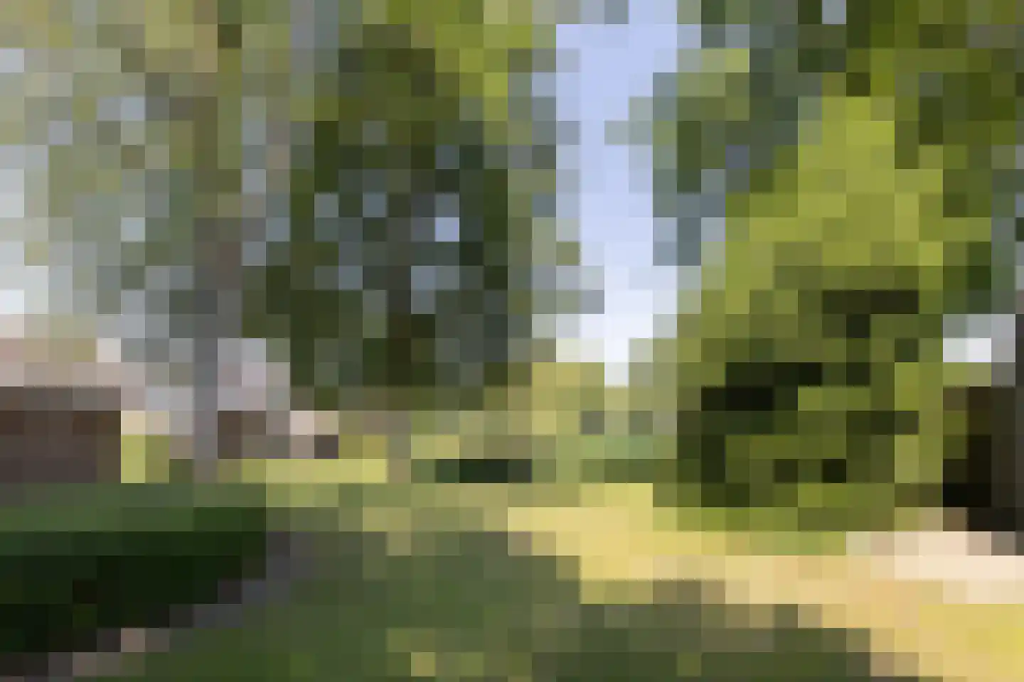 Lambertijnenlaan 49 Bergen op Zoom thumbnail 6