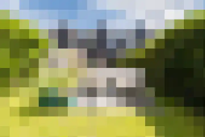Lambertijnenlaan 81 Bergen op Zoom thumbnail 10