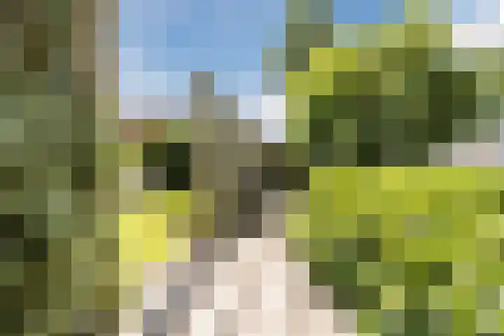 Lambertijnenlaan 81 Bergen op Zoom thumbnail 11