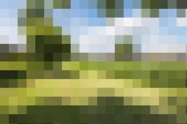 Lambertijnenlaan 81 Bergen op Zoom thumbnail 12