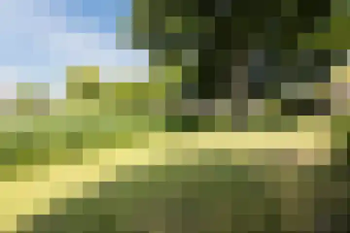 Lambertijnenlaan 81 Bergen op Zoom thumbnail 13