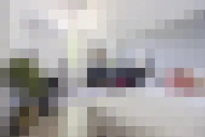 Lambertijnenlaan 81 Bergen op Zoom thumbnail 33