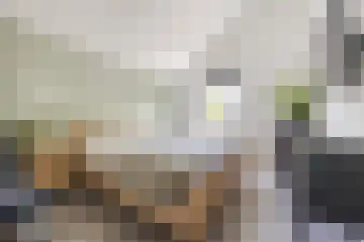 Lambertijnenlaan 81 Bergen op Zoom thumbnail 4