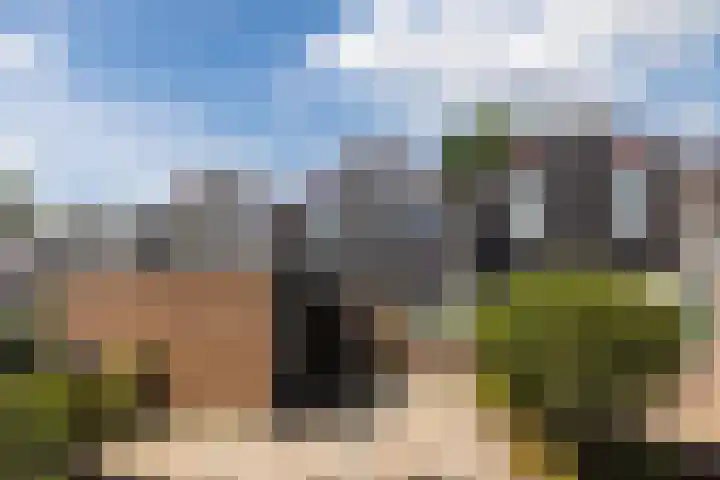 Lambertijnenlaan 81 Bergen op Zoom thumbnail 44