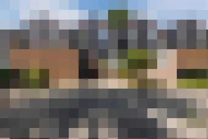 Lambertijnenlaan 81 Bergen op Zoom thumbnail 48