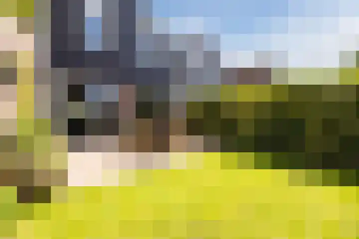 Lambertijnenlaan 81 Bergen op Zoom thumbnail 6