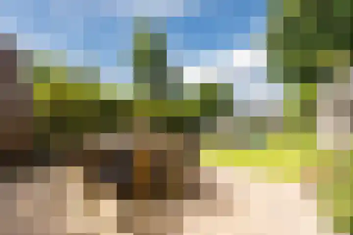 Lambertijnenlaan 81 Bergen op Zoom thumbnail 7