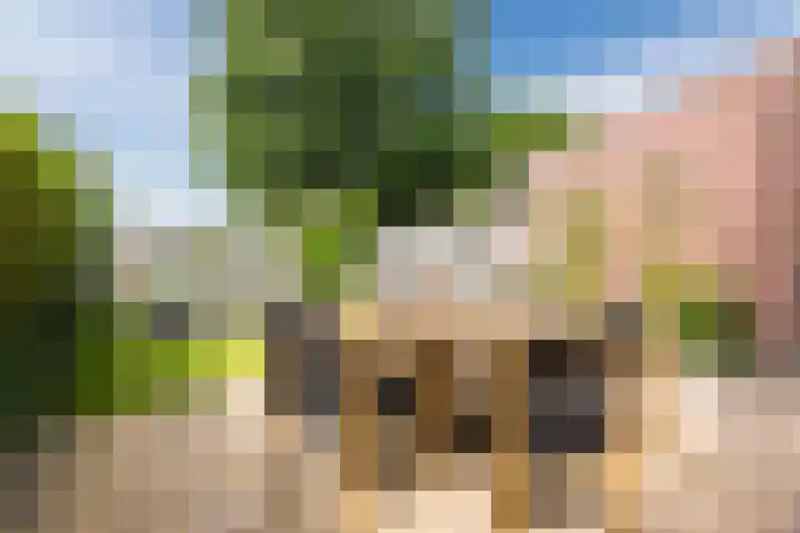 Lambertijnenlaan 81 Bergen op Zoom thumbnail 8