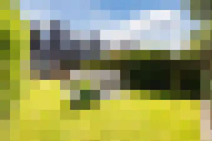 Lambertijnenlaan 81 Bergen op Zoom thumbnail 9