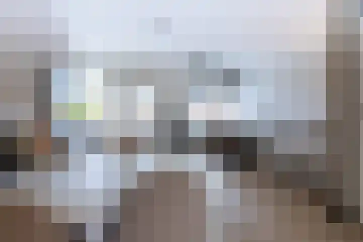 Lambertijnenlaan 91 Bergen op Zoom thumbnail 11