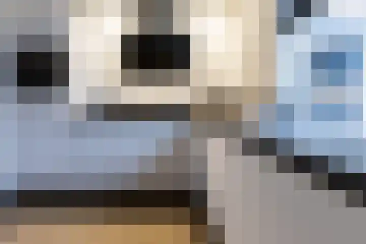 Lambertijnenlaan 91 Bergen op Zoom thumbnail 16