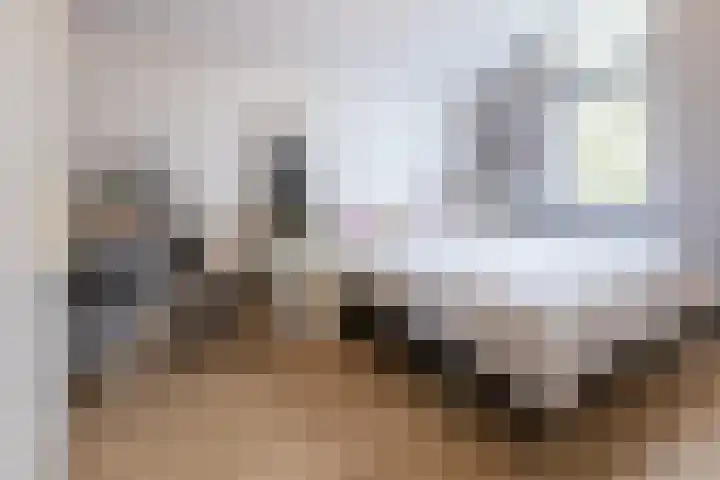 Lambertijnenlaan 91 Bergen op Zoom thumbnail 19