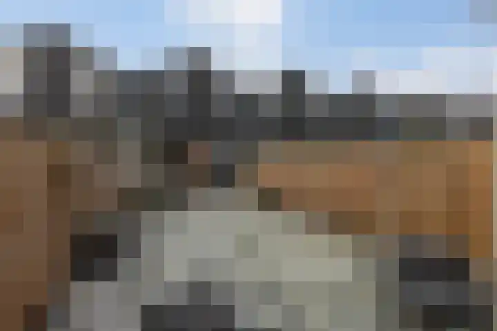 Lambertijnenlaan 91 Bergen op Zoom thumbnail 30