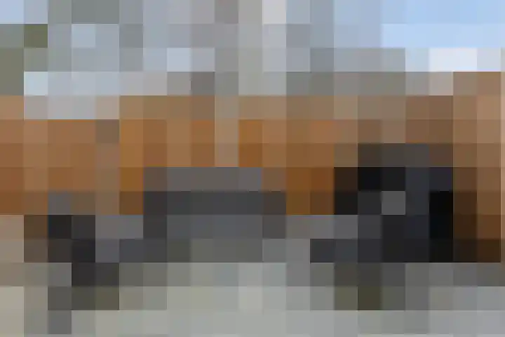 Lambertijnenlaan 91 Bergen op Zoom thumbnail 31