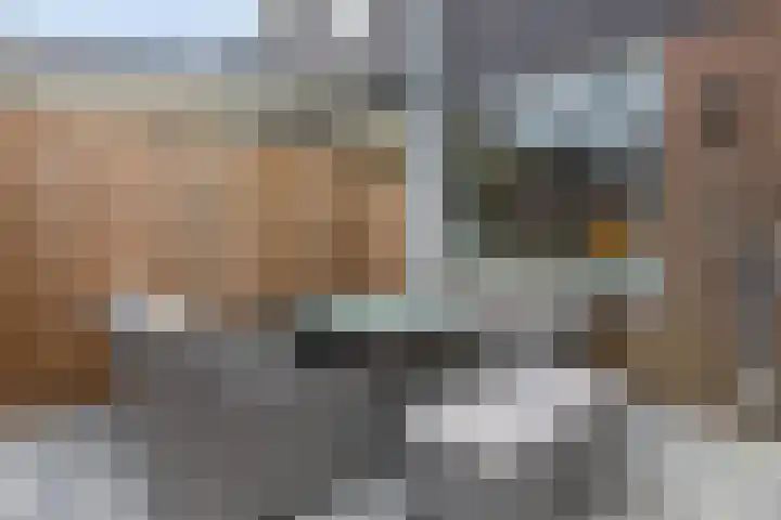 Lambertijnenlaan 91 Bergen op Zoom thumbnail 32